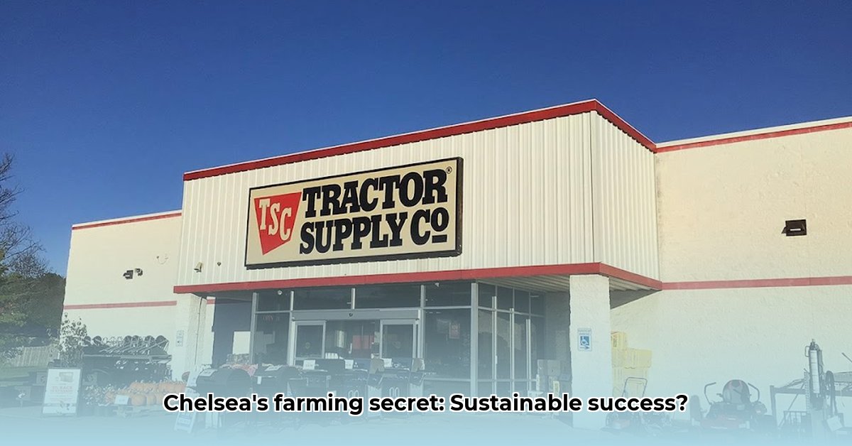 tractor-supply-chelsea